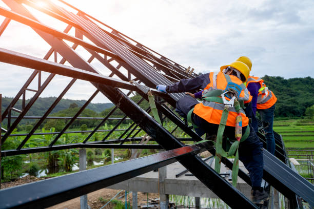 Professional Roofing Contractor in Lakeside, MT