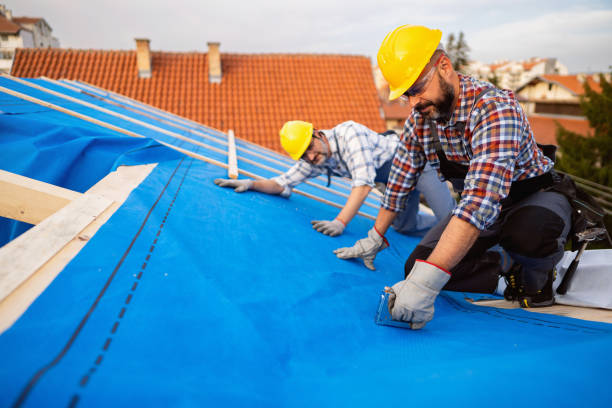 Best Roof Gutter Cleaning  in Lakeside, MT